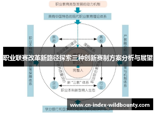 职业联赛改革新路径探索三种创新赛制方案分析与展望