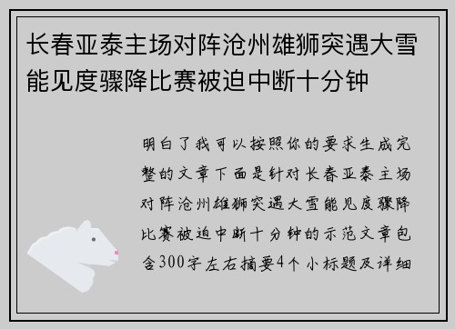 长春亚泰主场对阵沧州雄狮突遇大雪能见度骤降比赛被迫中断十分钟 长春亚泰主场对阵沧州雄狮突遇大雪能见度骤降比赛被迫中断十分钟